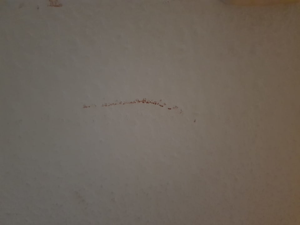 Zimmer Burgbauernhof Katzenstein