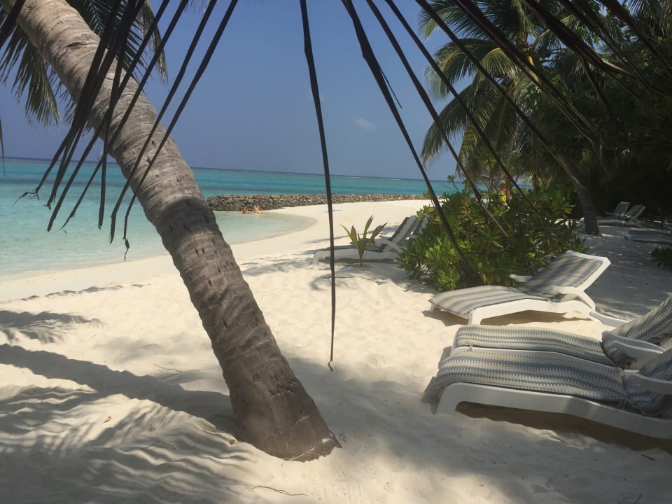 Strand Summer Island Maldives