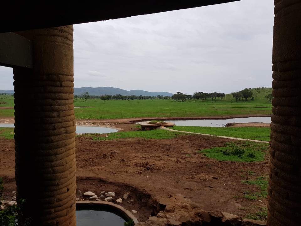 Ausblick Salt Lick Safari Lodge