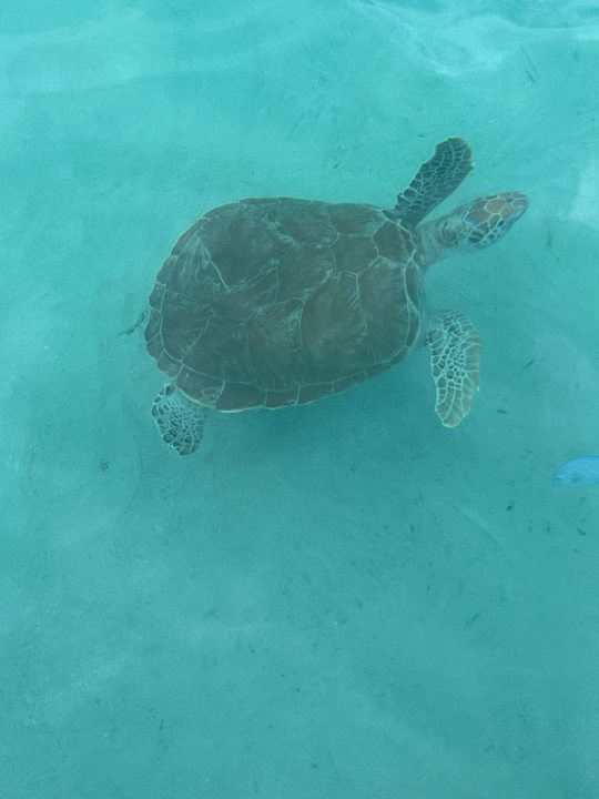 Sonstiges Avila Beach Hotel