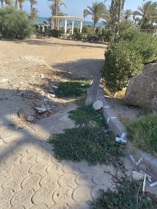 Strand Club Palm Azur