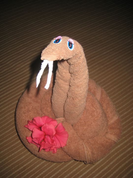 Handtuchfiguren Hotel Riu Tequila