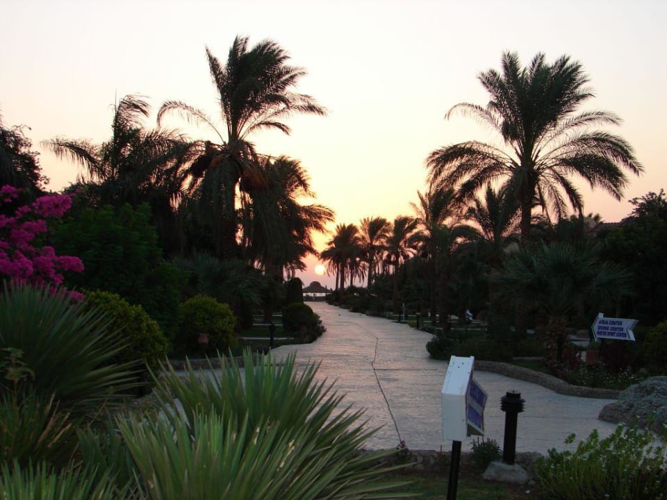 Sonnenaufgang / Weg zum Strand Ali Baba Palace Resort