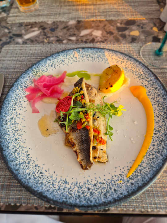 Gastro PALOMA Perissia