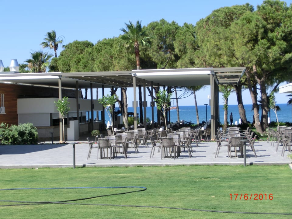 Restaurant Acanthus Cennet Barut Collection