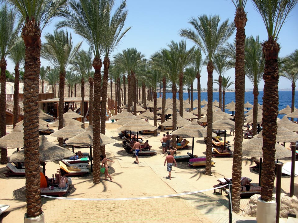 Der Sandstrand mit der Beachbar The Grand Hotel Sharm El Sheikh