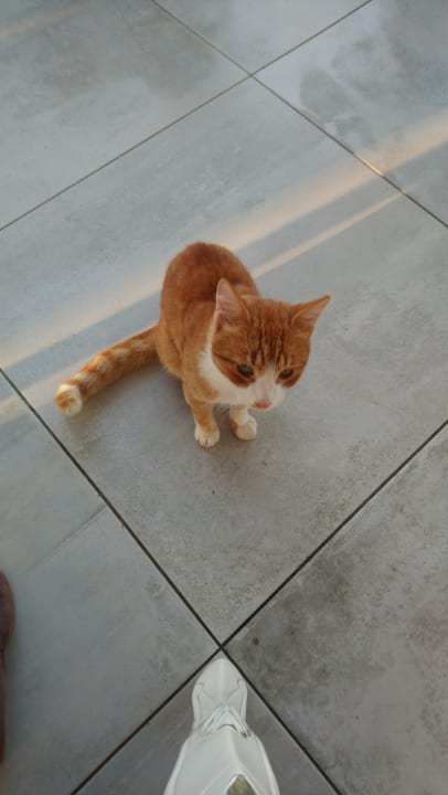 Sonstiges Sandy Villas Resort