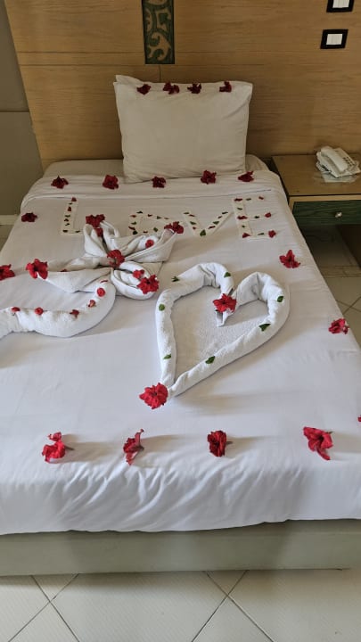 Zimmer Regina Resort and Aqua Park Hurghada