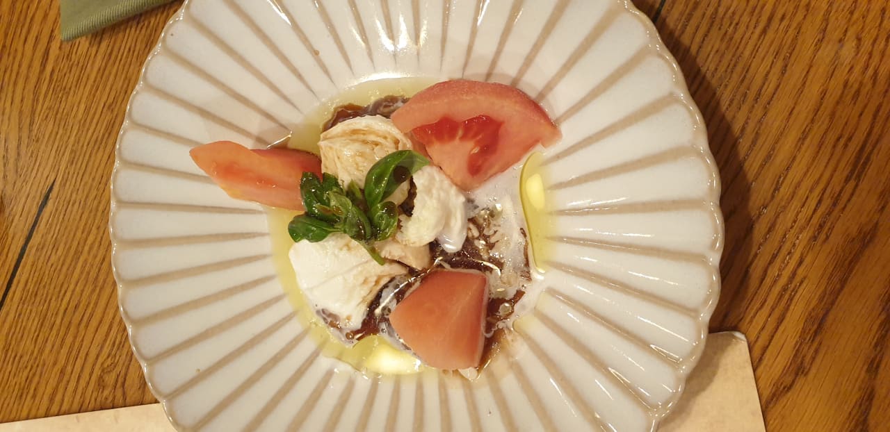 Gastro Acanthus Cennet Barut Collection