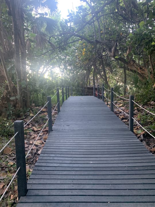 Gartenanlage Melia Las Antillas - Adults only