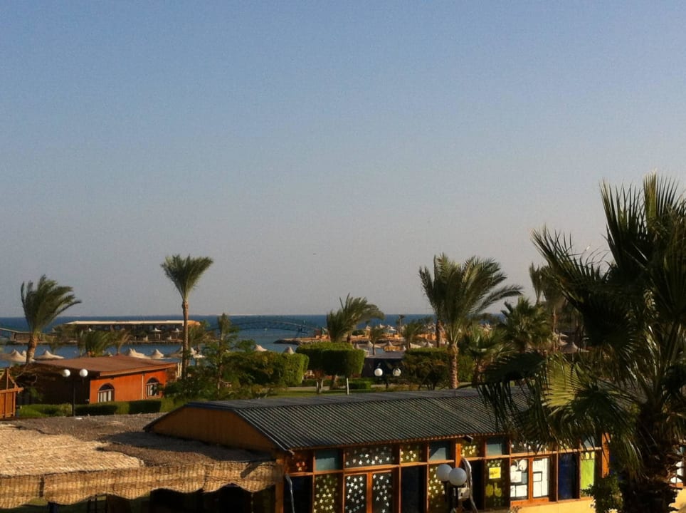 Вид из номера Desert Rose