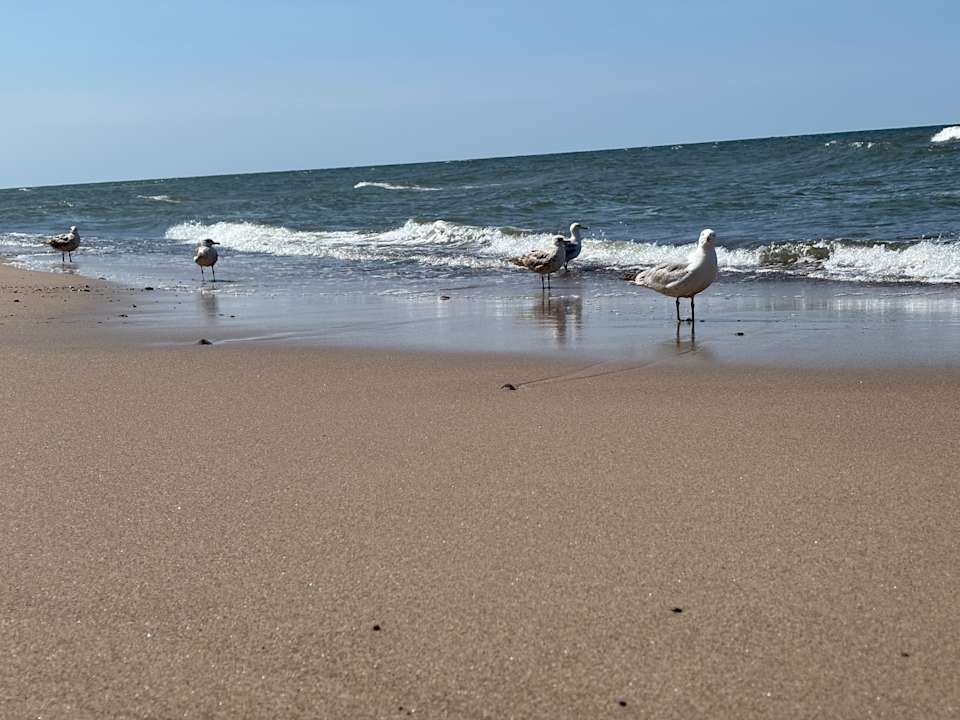 Strand Spark by Hilton Pobierowo