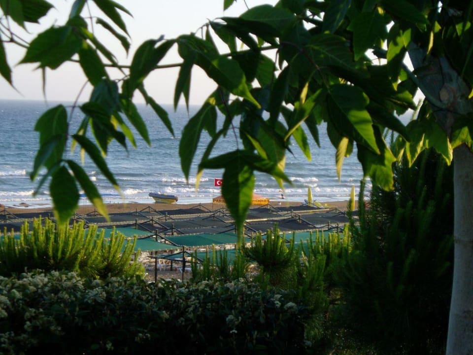Blick vom Fischrestaurant auf`s Meer Trendy Aspendos Beach Hotel