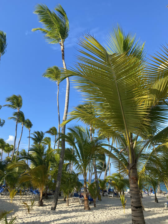 Strand Hotel Riu Palace Bavaro