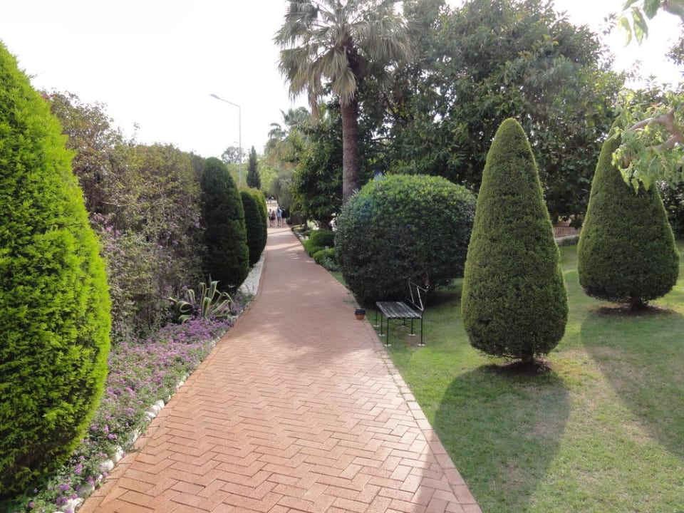 Traumhaft Side Star Elegance