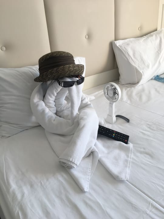 Zimmer Well Palace Side