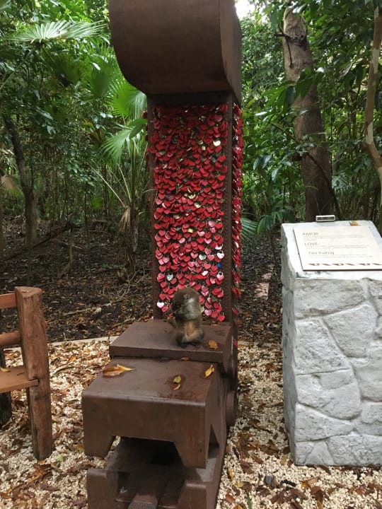 Sonstiges Catalonia Playa Maroma