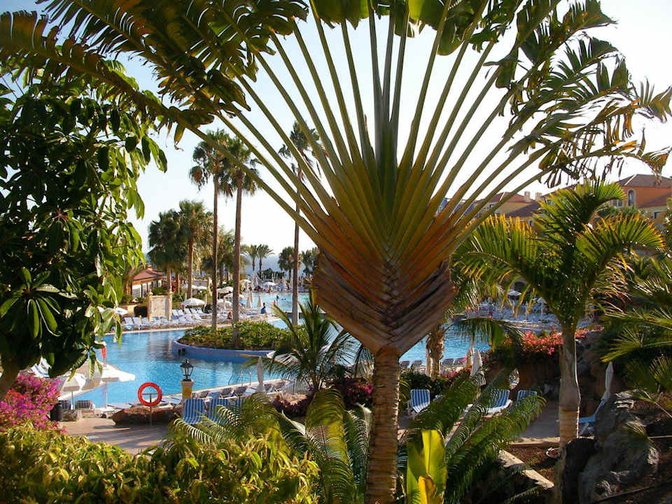 Palmengarten Bahia Principe Sunlight Costa Adeje