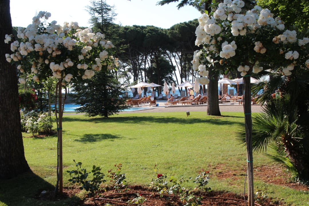 Pool vom Garten aus gesehen Falkensteiner Hotel Adriana