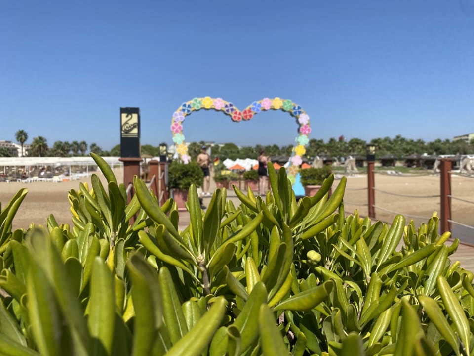 Strand VONRESORT Golden Beach