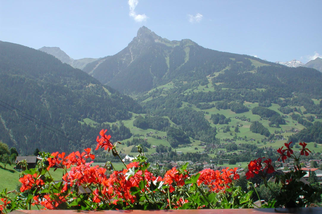 Ausblick Ferienwohnungen Bitschnau