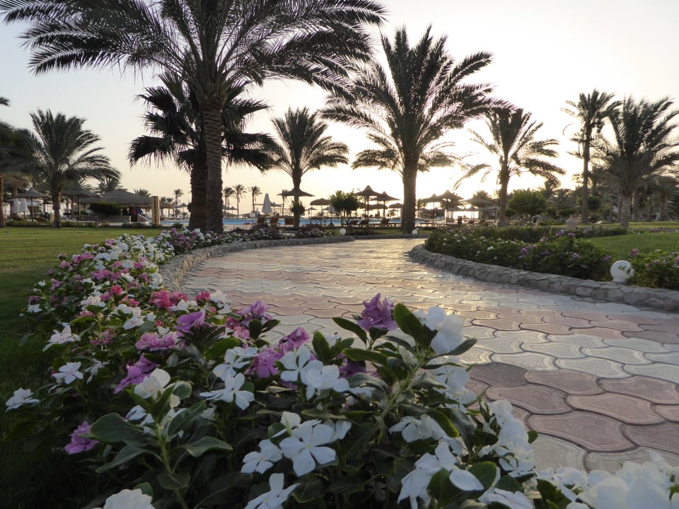 Gartenanlage Three Corners Sea Beach Resort