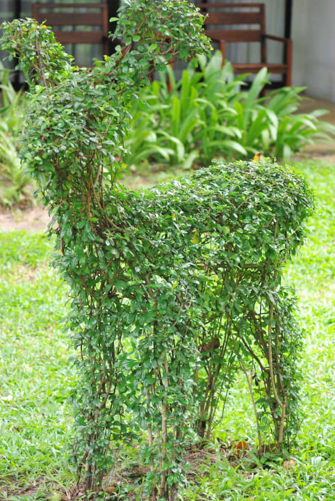 Gartenanlage Woodlands Hotel & Resort