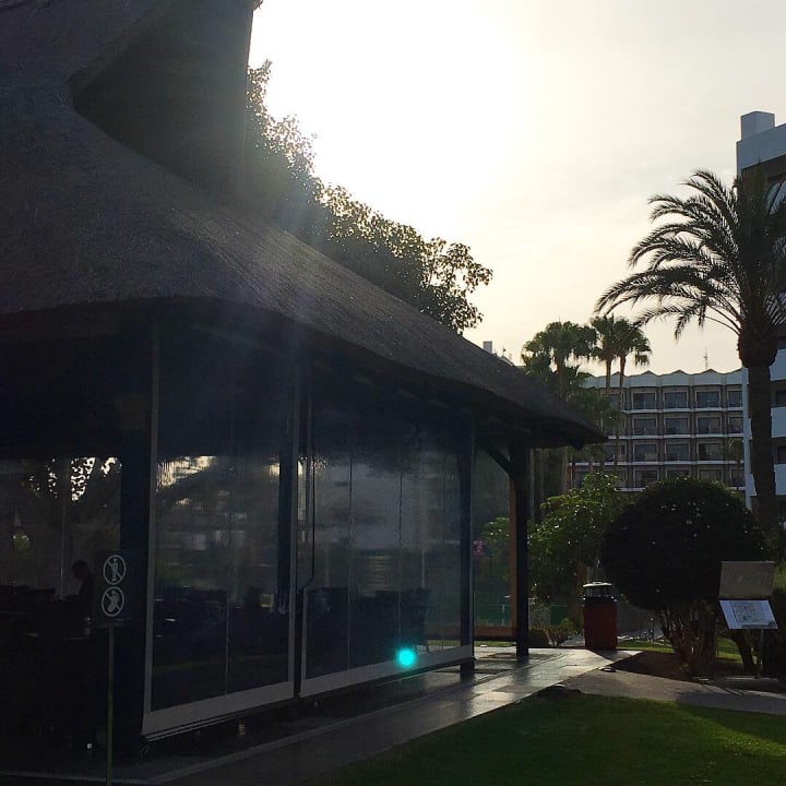 Gastro Barceló Margaritas