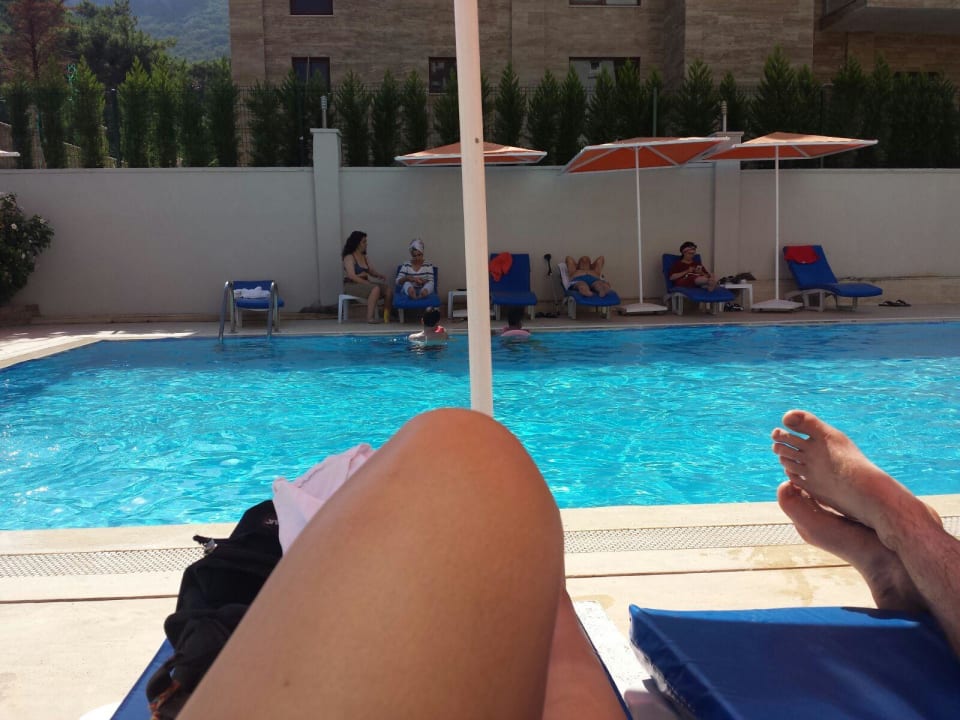 Pool Hotel Forest Park