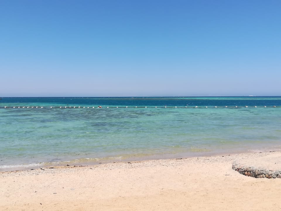 Strand Sea Star Beau Rivage