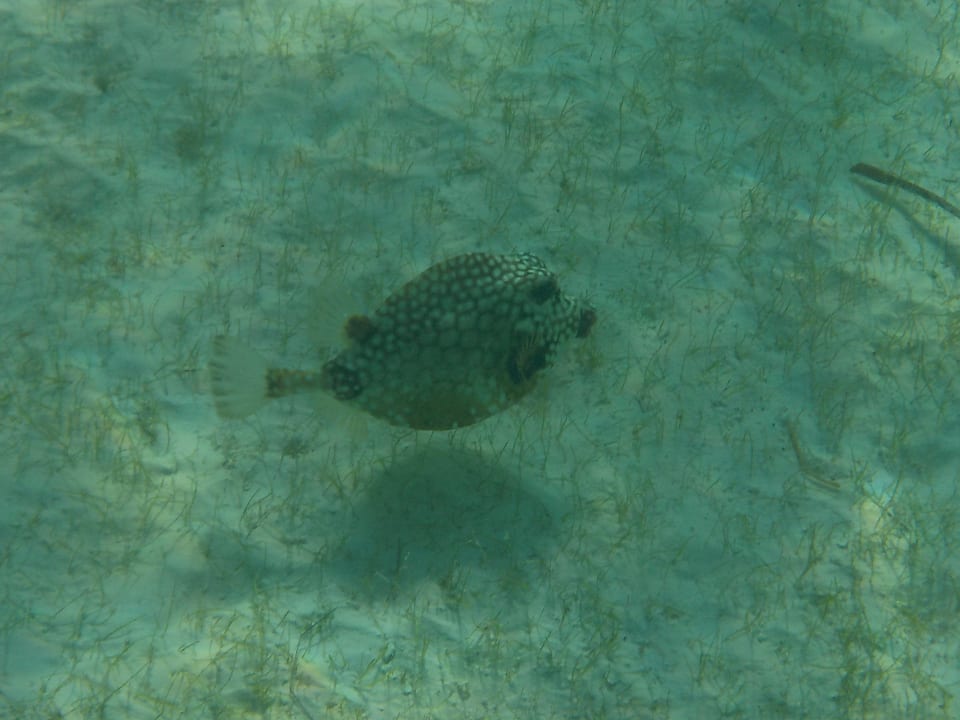 Sport & Freizeit Akumal Bay Beach & Wellness Resort