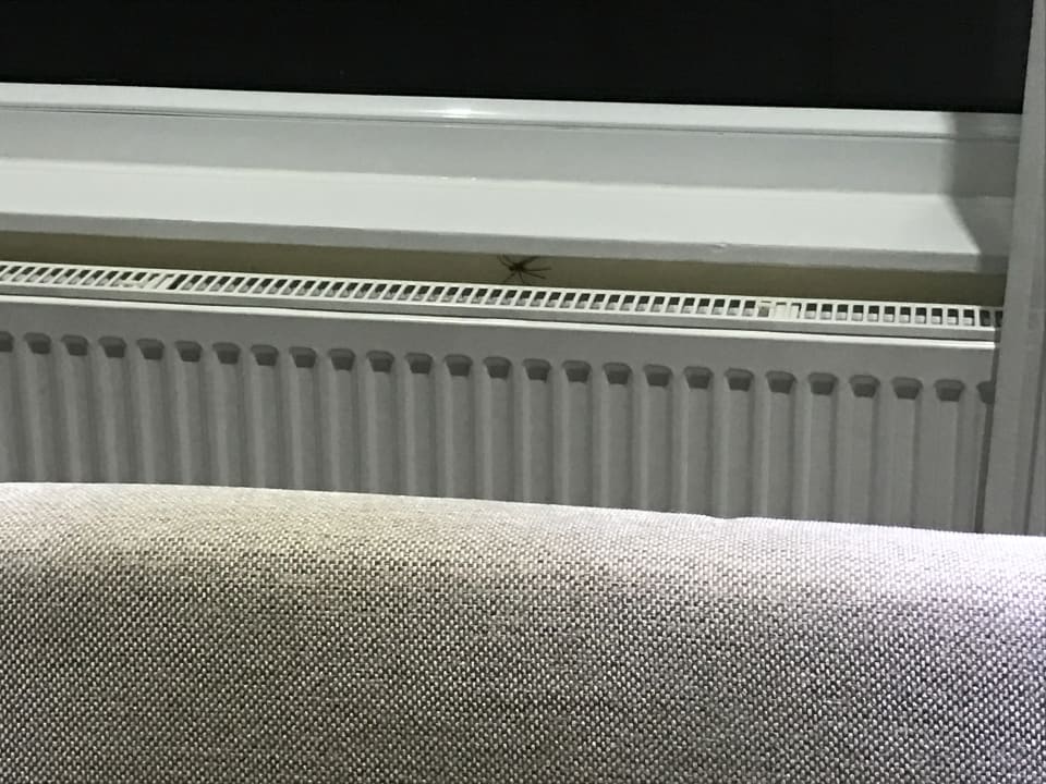 Zimmer Hotel Filderhof