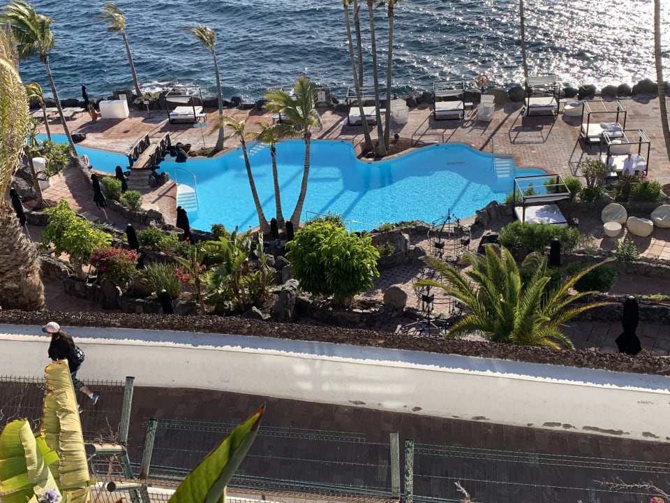 Pool Dreams Jardín Tropical