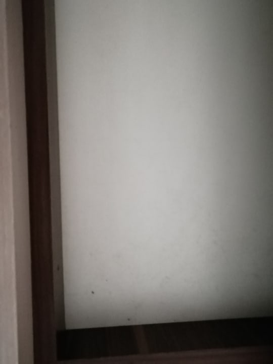 Zimmer Hawaii Suite Beach Hotel