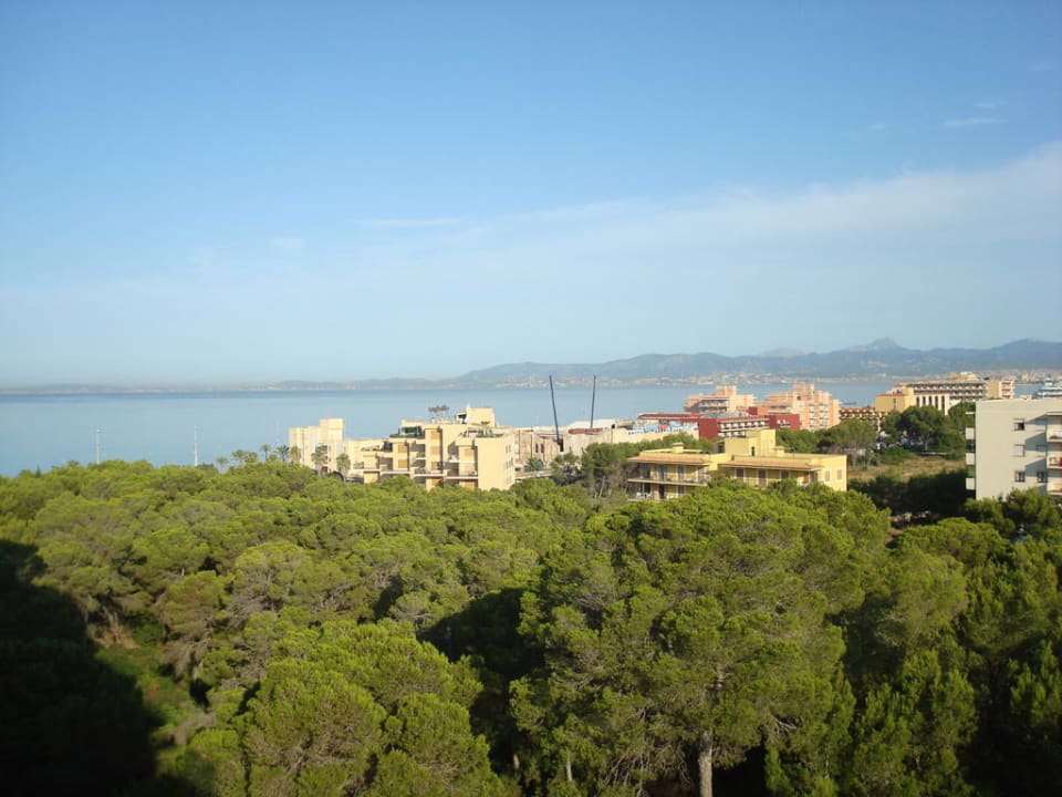 Ausblick Hotel Timor
