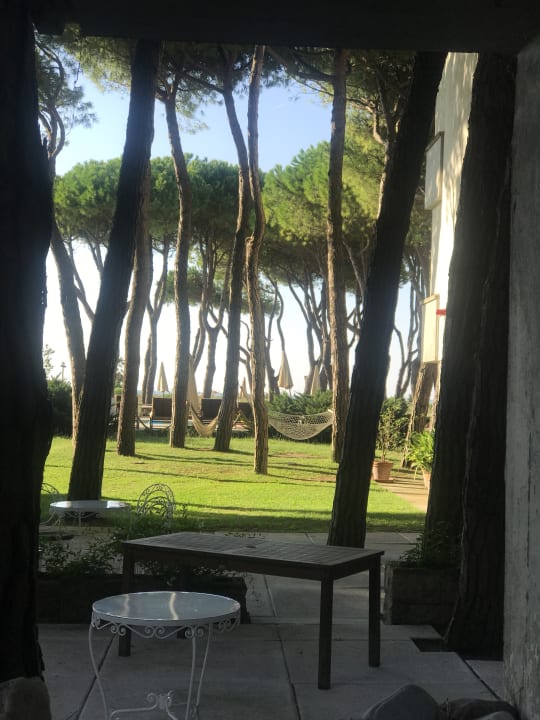 Gartenanlage Hotel Bellevue & Resort