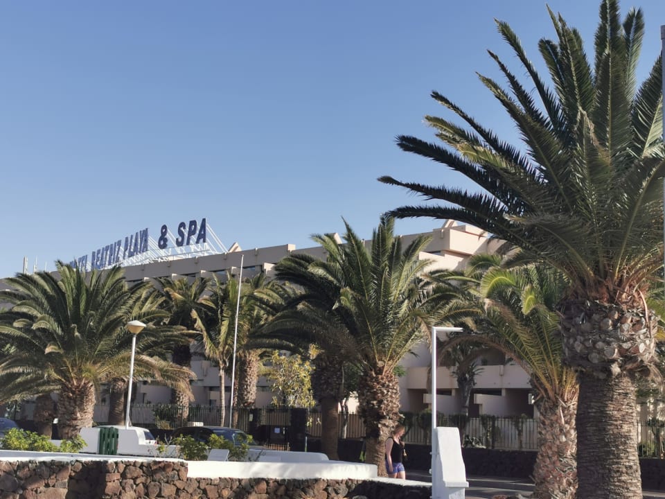 Gartenanlage Hotel Beatriz Playa & Spa