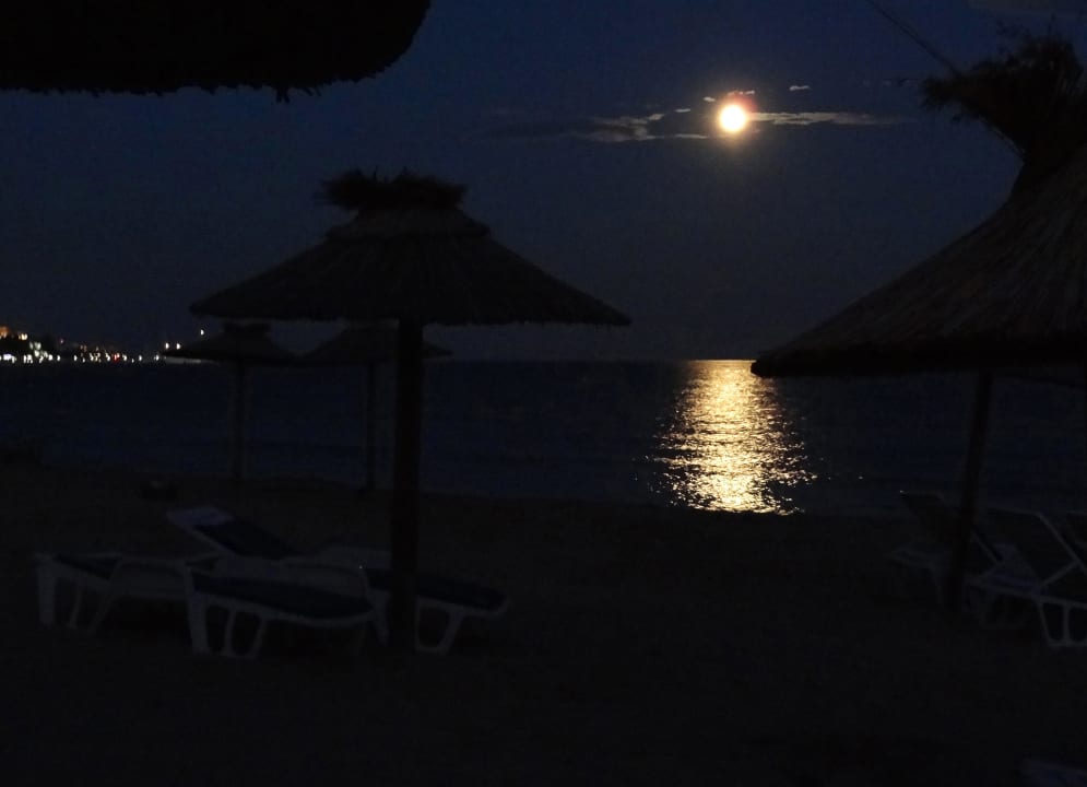 Bei Nacht Sineva Park