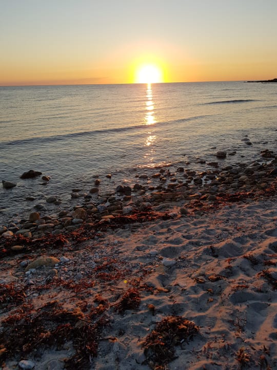 Strand TH San Teodoro - Liscia Eldi