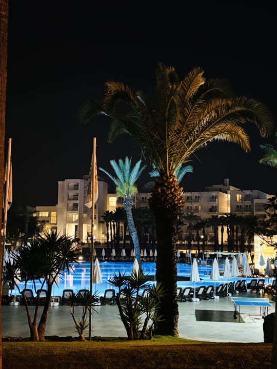 Pool Monachus Family Resort Sorgun