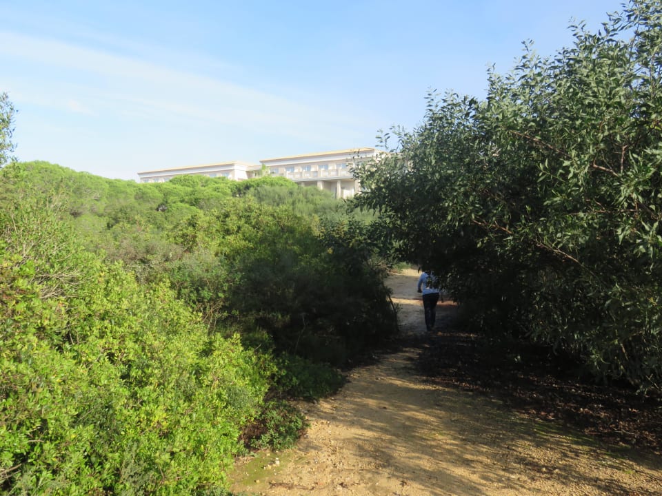 Weg zum Strand Valentin Sancti Petri