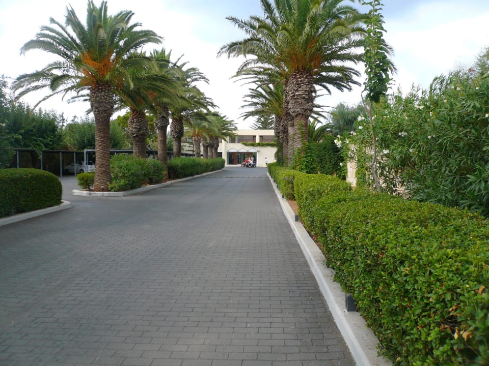 Zufahrt zum Hotel Phãea Cretan Malia