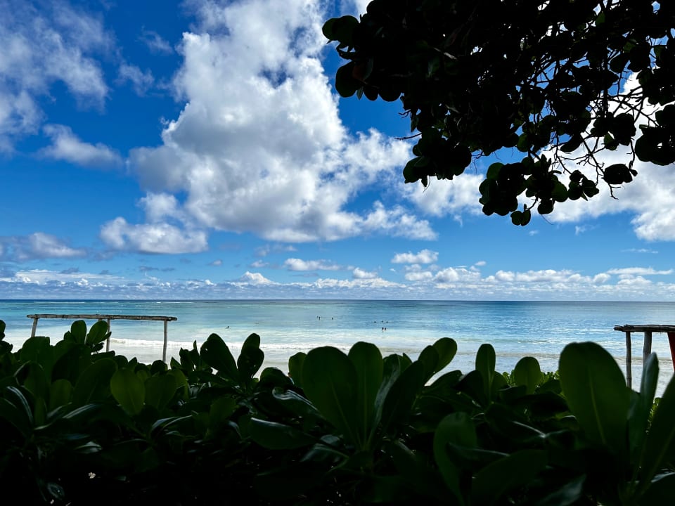 Gartenanlage Akumal Bay Beach & Wellness Resort