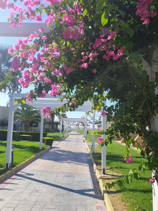 Gartenanlage Lindos Princess Beach Resort & Spa