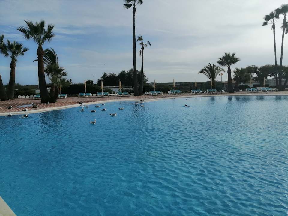 Pool Golden Club Cabanas