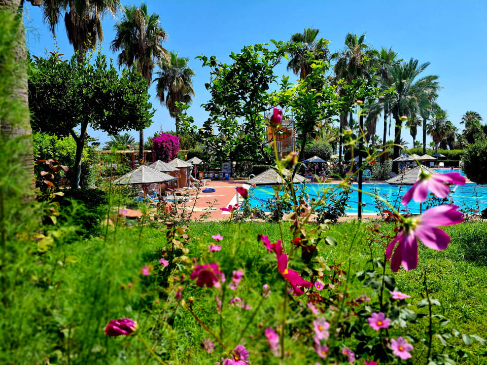 Gartenanlage Hotel Defne Garden