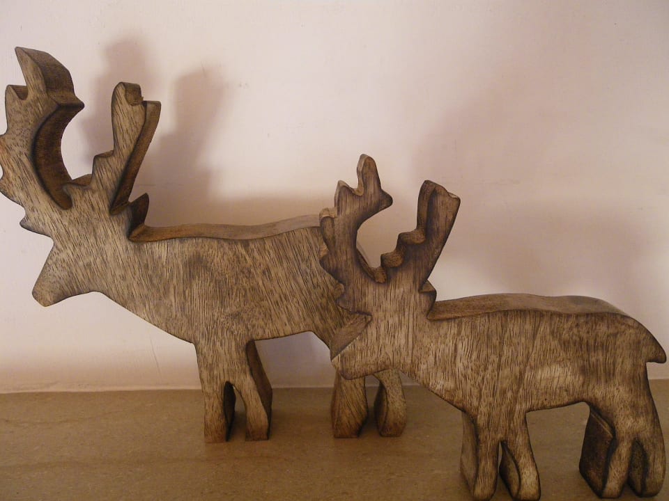 Detail Mountain Chalet Pra Ronch