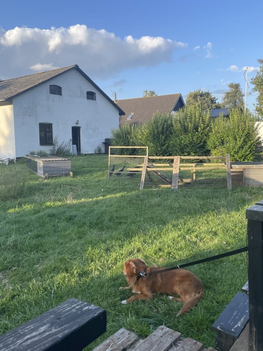 Ausblick Skortskær Bondegårdsferie