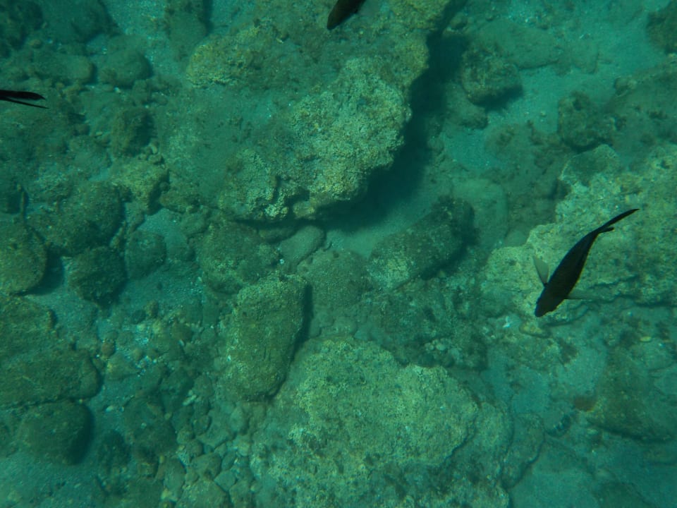 Strand Mitsis Rodos Village