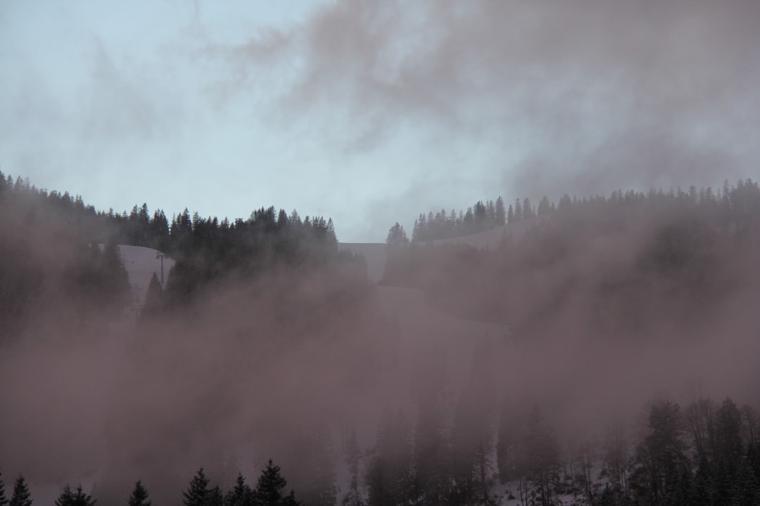 Ausblick Berggasthof Willy Merkl Haus